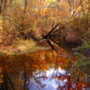 Tuckahoe River Fall Reflections