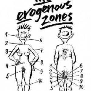 The Erogenous Zones