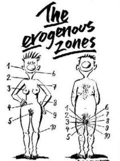 The Erogenous Zones