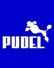 Pudel