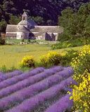 Learn French in Provence