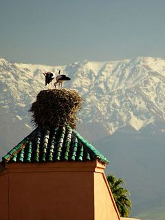 Marrakech Atlas Large