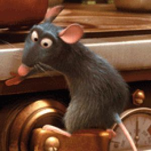 Ratatouille