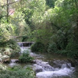 Monasterio de Piedra