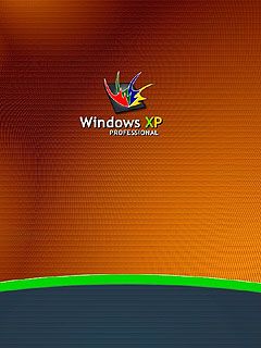 Windows XP