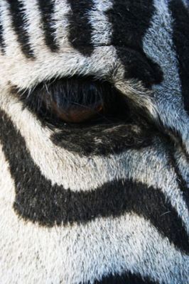 Botswana