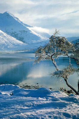 Scotland