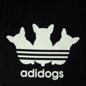 Adidogs