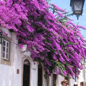 Obidos