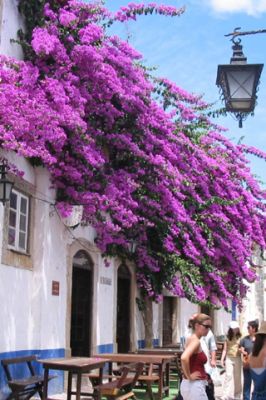 Obidos