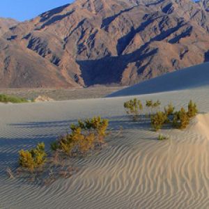 Death Valley Sand Dunes