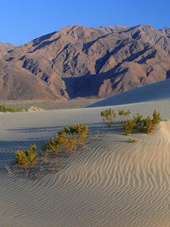 Death Valley Sand Dunes