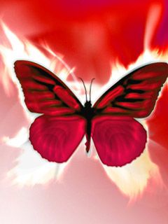 Red Butterfly