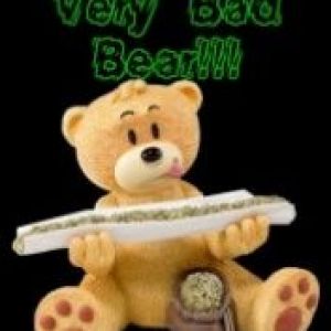 Very Bad Bear