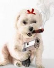 Gangster