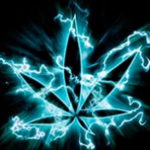 Neon Cannabis