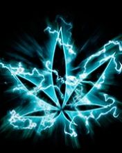 Neon Cannabis