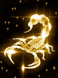 Scorpion