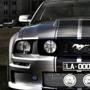 Mustang