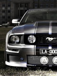 Mustang