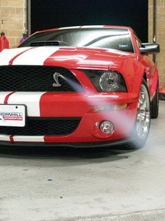 Mustang