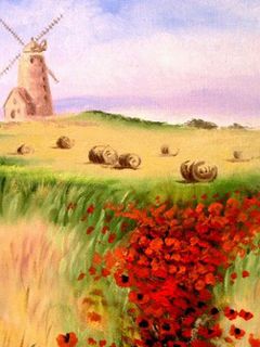 Norfolk Mill and Poppy Field