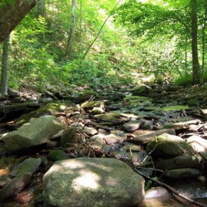 River Blue Ridge Mountains - Georgia