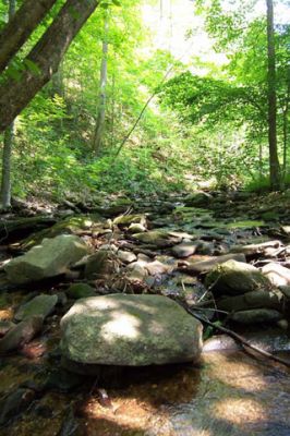 River Blue Ridge Mountains - Georgia