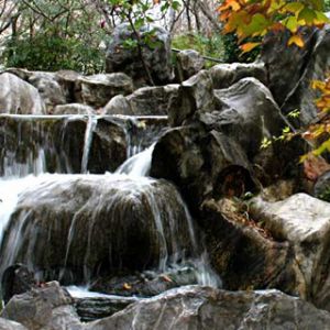 Chinese Garden - Sydney