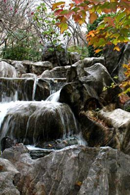 Chinese Garden - Sydney