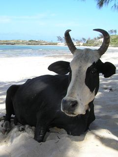 Relax on the Beach