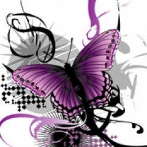 Purple Butterfly