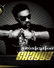 Shaggy