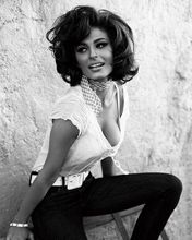Sophia Loren