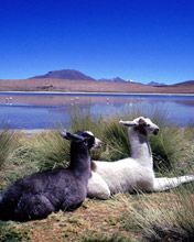 Bolivia