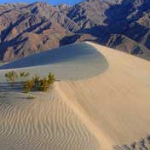 Death Valley Sand Dunes