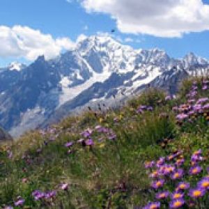 Mont Blanc