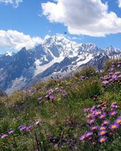 Mont Blanc