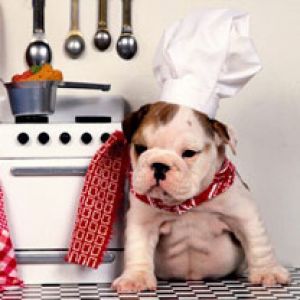 Master Chef