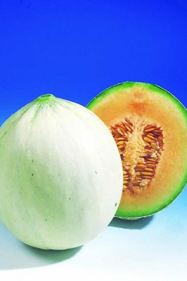 Melon Summer Dream