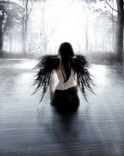 Fallen Angel