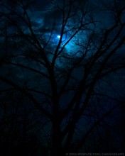Night