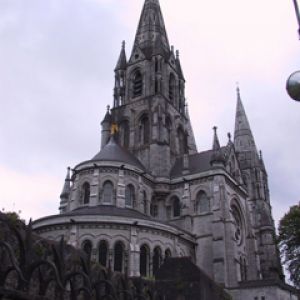 Cork