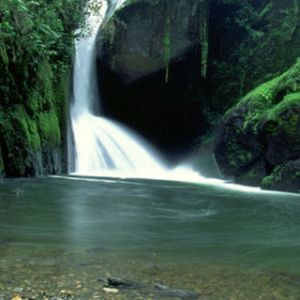 Savegre Costa Rica