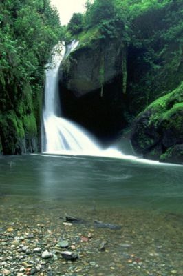 Savegre Costa Rica
