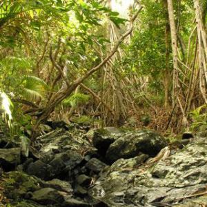 Lord Howe Island