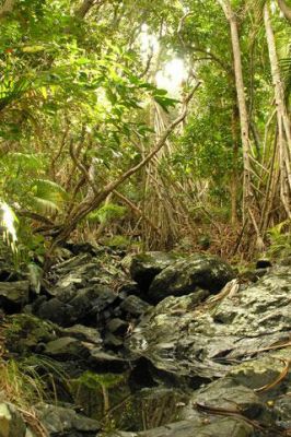 Lord Howe Island