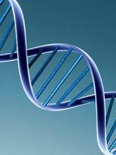 DNA