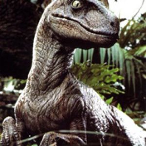 Velociraptor