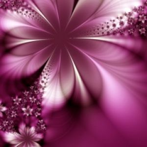 Pink Flower